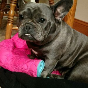 Meet your Posher, Michelle